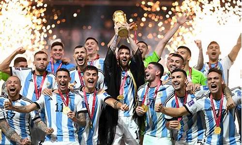 2014年阿根廷世界杯阵容_2014年阿根廷世界杯阵容图