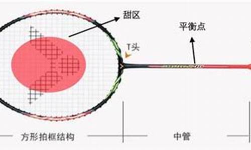 羽毛球拍选购基本知识_羽毛球拍选购基本知识进攻