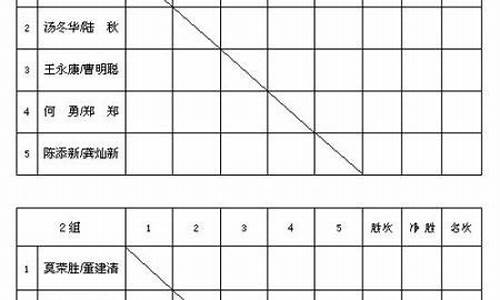 羽毛球比赛分组如何分复活_羽毛球比赛怎么分组